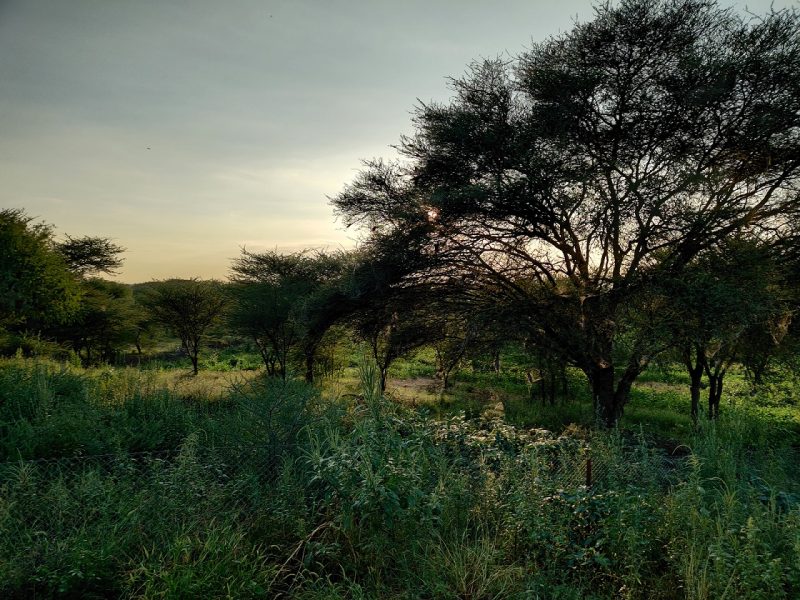 ECO POLICY (1) edited