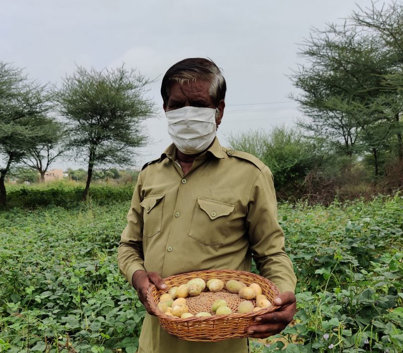 FARM TO FORK (1) edited 2