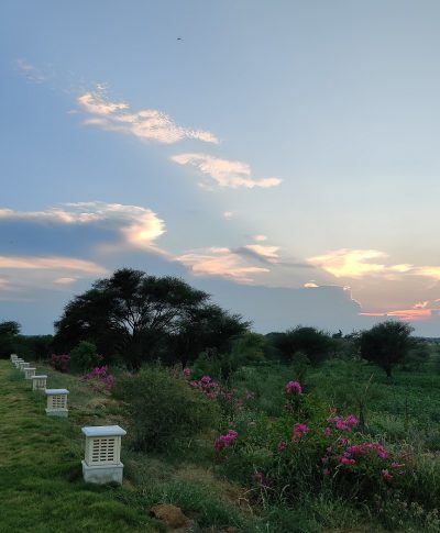 IMG_20200807_190552 edited