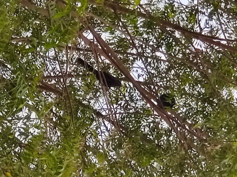 walking trail edited